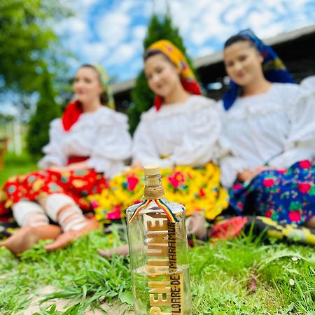 Floare De Maramures 1 Vadu Izei Buitenkant foto