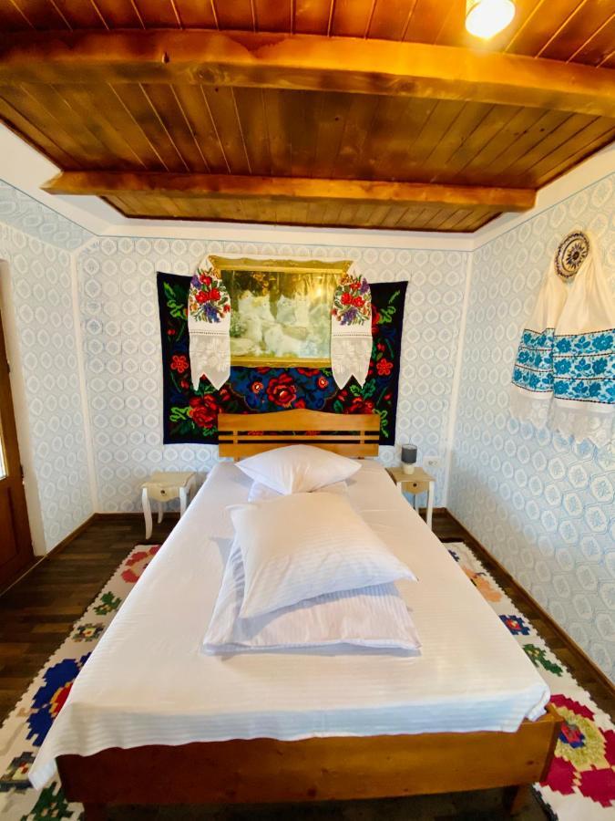 Floare De Maramures 1 Vadu Izei Buitenkant foto