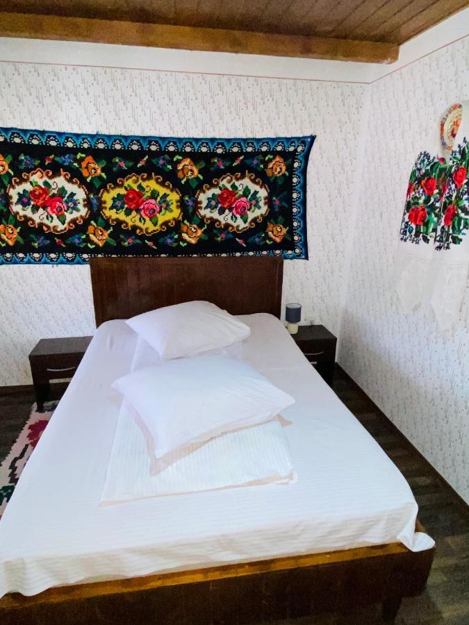 Floare De Maramures 1 Vadu Izei Buitenkant foto