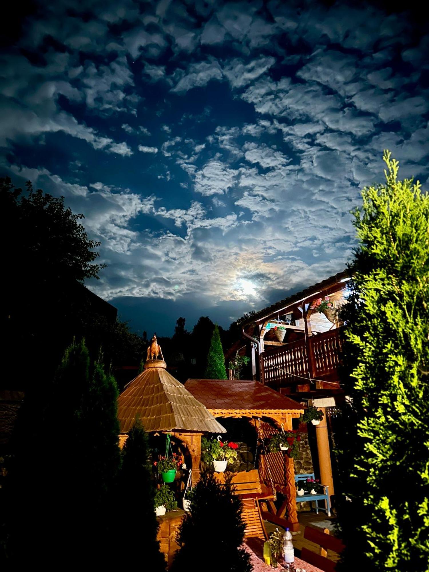 Floare De Maramures 1 Vadu Izei Buitenkant foto
